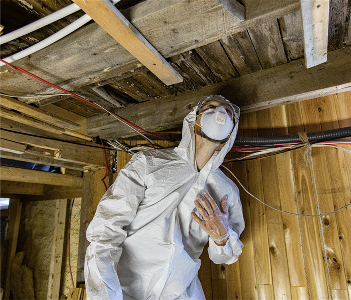 Person in PPE inspecting a home.